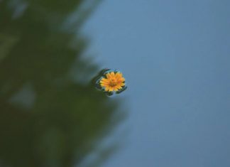 L’effort cède la place à la fluidité