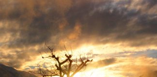 Avec courage dans le nouvel âge