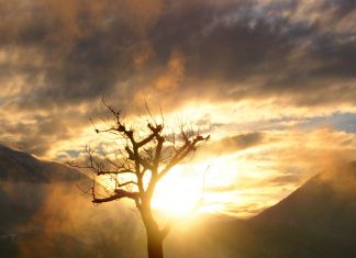 Avec courage dans le nouvel âge