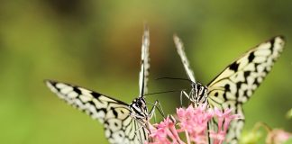 Processus relationnel – Jour 4 – Vivre la vérité d’une autre personne