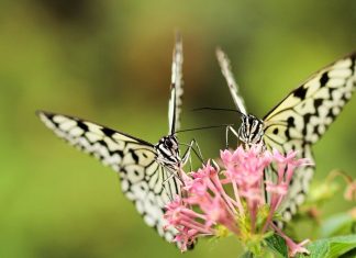 Processus relationnel – Jour 4 – Vivre la vérité d’une autre personne