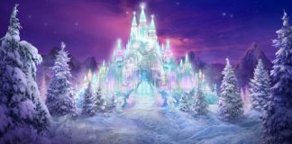 Nettoyage du Chakra Racine par le Royaume Cristallin