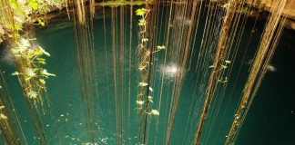 Jésus Christ Cosmique – La Victoire de la Lumière en vous et autour de vous