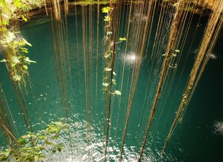 Jésus Christ Cosmique – La Victoire de la Lumière en vous et autour de vous