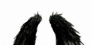 Le souffle de l’ange noir