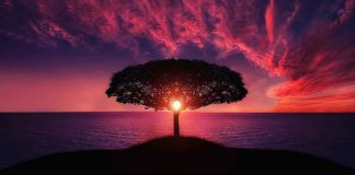 La Nouvelle Initiation de l’Abondance par Seigneur Bouddha