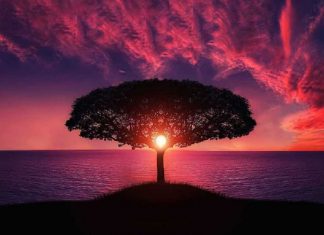 La Nouvelle Initiation de l’Abondance par Seigneur Bouddha