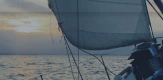 Le Créateur – Choisir le Flux