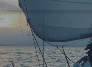 Le Créateur – Choisir le Flux