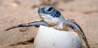 Nous sommes les créateurs permanents de notre futur