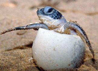 Nous sommes les créateurs permanents de notre futur