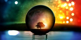 Le Coeur de Lumière et le 3ème œil