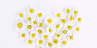 Le partage est automatique