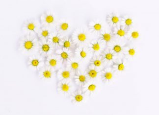 Le partage est automatique