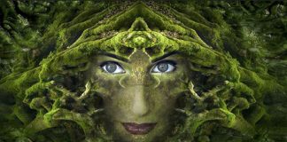 L’alchimie de l’être