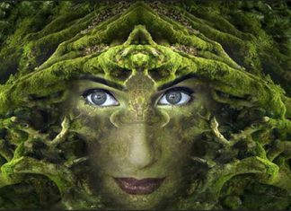 L’alchimie de l’être