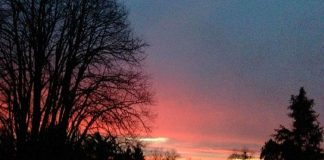 Les flammes de l’amour à Notre-Dame