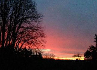 Les flammes de l’amour à Notre-Dame