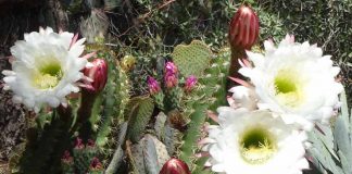 Force et clarté d’esprit