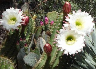 Se détendre hors du drame