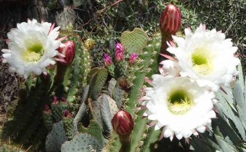 Se détendre hors du drame