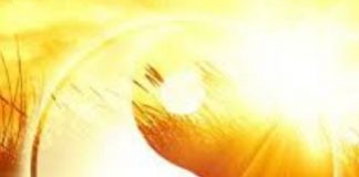 La Qualité d’Amour connue sous le nom de «Harmonie»