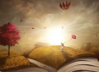 Le Conseil – L’histoire que vous vous racontez