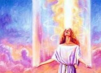 De « l’École des Âmes » à la Nouvelle Terre !