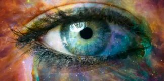 Le Créateur – Votre Maintenant….