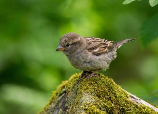 Le processus relationnel – Jour 3 – Remarquer ce que vous voyez