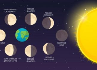 La Lune ~ Votre Compagnon Créatif dans la Vie