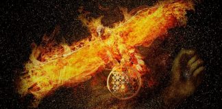 Et si vous pouviez vibrer au diapason avec les énergies du changement ?