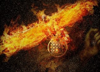 La Pureté des Commencements