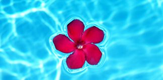 Je me détends dans ce que je suis, ce qui me portera