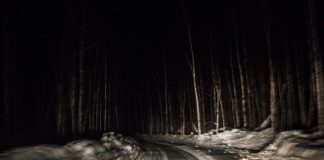 Le Créateur – Maintenir le cap….