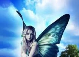 Plaidoyer pour une collaboration entre Humains et Esprits de la Nature