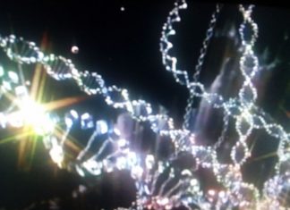 Nouvelle Onde de Vie, une Nouvelle Civilisation et une Nouvelle Énergie