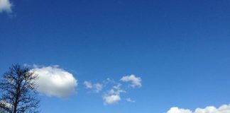 L’Ultime rupture pour l’union Sacrée