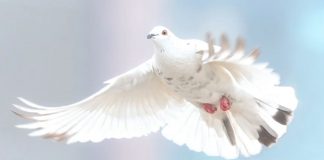 Un message important avant les événements à venir