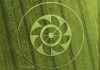 Message de juin 2019 – Crop Circle