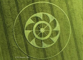 Message de juin 2019 – Crop Circle