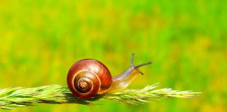 Votre Coeur de Lumière et la Patience