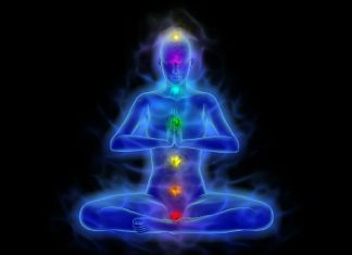 Soin Éthérique de votre Système Endocrinien