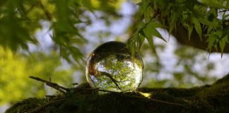 Lumières du mois de Juin !