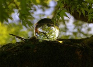 Lumières du mois de Juin !
