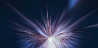 Ce que Vous Êtes dans « le Tout »