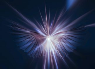 Ce que Vous Êtes dans « le Tout »