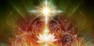 Le Processus Énergétique de la Terre et de nos Corps de Lumière