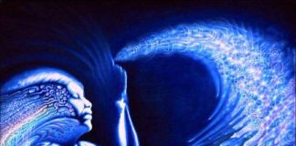 Préparation des Portails