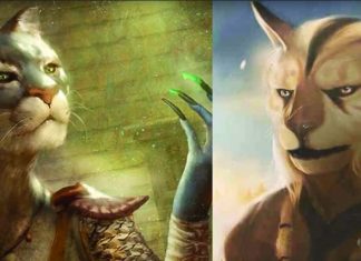 Message de la Race Féline